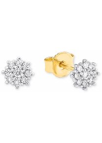 Amor, Damen Paar Ohrstecker, Gold / Silber