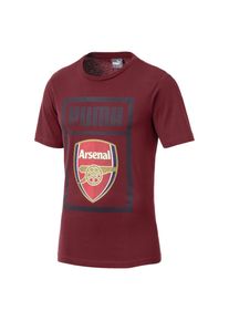 Puma, Herren T-Shirt 'AFC', Dunkelrot