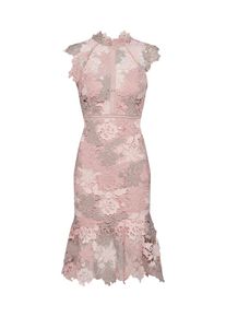 Bardot, Damen 'DANI LACE DRESS', Rosa