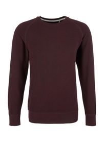 s.Oliver RED LABEL, Herren Sweatshirt, Dunkelgrau / Weinrot
