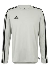 adidas Performance, Herren Trainingsshirt 'Terry JSY LS', Grau / Schwarz