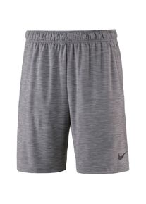 Nike, Herren Funktionsshorts 'Dry', Grau