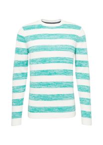 Tom Tailor Denim, Herren Pullover, Jade / Wei&szlig;
