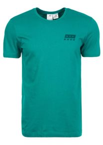adidas Performance, Herren Shirt "DFB Street Graphic WM 2018", Grün