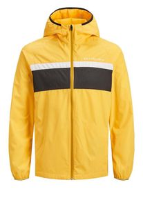 Jack & Jones JACK & JONES, Herren Jacke, Goldgelb / Schwarz / Weiß