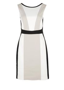 s.Oliver BLACK LABEL, Damen Kleid, Cappuccino / Schwarz / Weiß