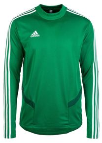 adidas Performance, Herren Trainingsjacke 'TIRO 19', Grün