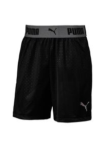 Puma, Shorts, Dunkelgrau / Schwarz