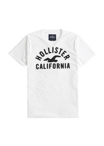 Hollister, Herren Shirt 'ARCH+BLOCKING TECH LOGO', Weiß
