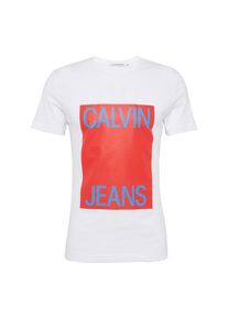 Calvin Klein Jeans, Herren T-Shirt 'CALVIN JEANS BOX LOGO SLIM TEE', Hellblau / Rot / Wei&szlig;