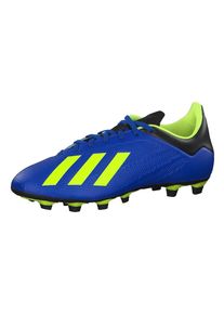 adidas Performance, Herren Fu&szlig;ballschuhe 'X 18.4 FG', Blau / Limette / Schwarz