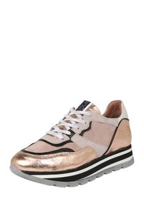 Mjus, Sneaker 'Sneaker CAROLINA', Gold