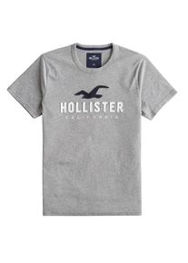 Hollister, Herren Shirt 'ICONIC SS TECH SOLIDS', Grau