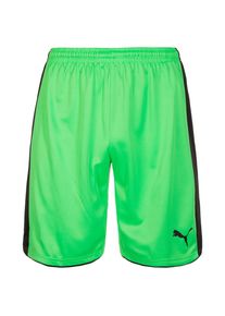 Puma, Herren 'Tournat' Torwartshort, Neongrün / Schwarzmeliert