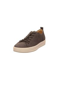 Ecco, Herren Schnürschuhe, Taupe