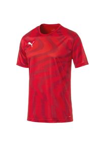 Puma, Herren Trikot 'Cup Core', Karminrot / Hellrot