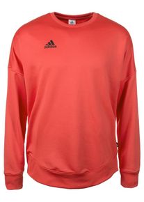 adidas Performance, Herren Sweatshirt 'Terry', Koralle