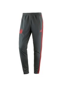 adidas Performance, Herren Trainingshose 'FC Bayern', Anthrazit