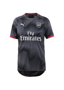 Puma, Herren Funktionsshirt 'FC Arsenal', Basaltgrau / Rot / Wei&szlig;
