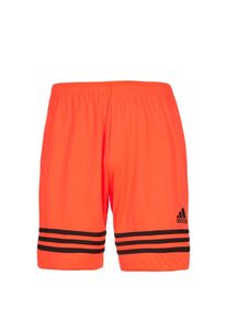 adidas Performance, Shorts 'Entrada 14', Orange