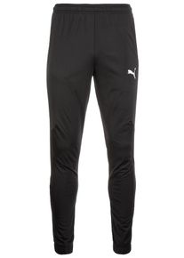 Puma, Herren Trainingshose 'Liga Sideline Poly', Schwarz
