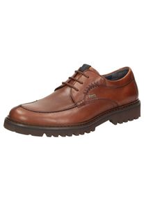 Sioux, Herren Schnürschuh 'Quendron-702-TEX', Braun