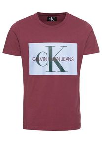 Calvin Klein Jeans, Herren Poloshirt, Hellblau / Weinrot / Schwarz