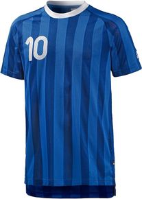 adidas Performance, Herren 'TANIP' Funktionsshirt , Blau