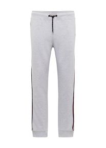 Jack & Jones JACK & JONES, Herren Hose 'JCOVISION SWEAT PANTS', Hellgrau