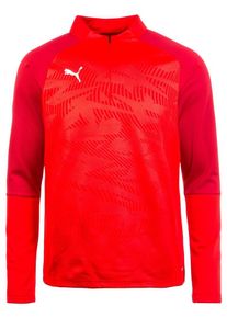 Puma, Herren Trainingsshirt 'Cup', Rot / Dunkelrot