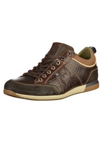 Gaastra, Herren Sneaker, Braun