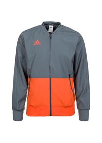 adidas Performance, Herren Pr&auml;sentationsjacke 'Condivo 18', Grau