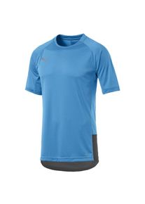 Puma, Herren Pro Fu&szlig;ball Trikot 'ftblNXT', Royalblau / Grau / Rot