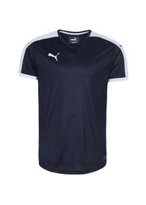 Puma, Herren 'Pitch' Fu&szlig;balltrikot, Blau