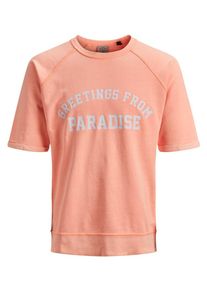 Jack & Jones JACK & JONES, Herren Sweatshirt, Koralle