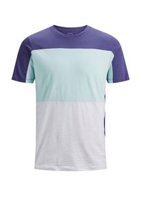 Jack & Jones JACK & JONES, Herren T-Shirt, Pastellgrün / Dunkellila / Weiß