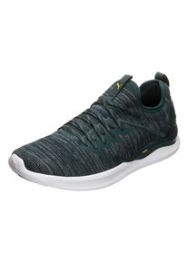 Puma, Herren Laufschuhe 'Ignite Flash evoKNIT', Dunkelgrau / Grün