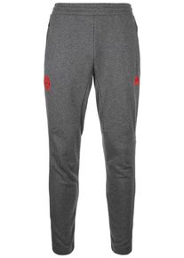 adidas Performance, Herren Trainingshose 'FC Bayern München', Graumeliert / Rot