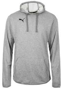 Puma, Herren Trainingskapuzenpullover 'Liga', Grau