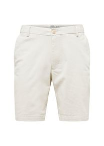 IZOD, Herren Shorts 'SALTWATER', Beige