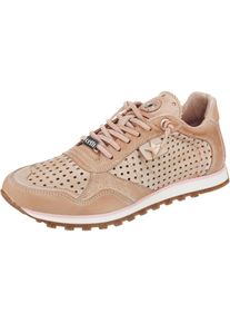 CETTI, Damen Sneakers, Hellbraun