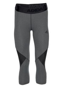 adidas Performance, Damen Leggings 'AlphaSkin', Basaltgrau / Dunkelgrau