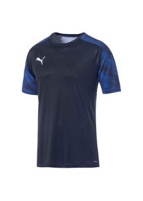 Puma, Herren Trainingstrikot 'Cup', Blau / Kobaltblau