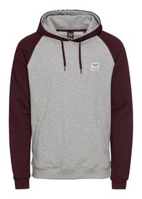 Iriedaily, Herren Sweatshirt 'Rugged Hoody', Grau / Aubergine