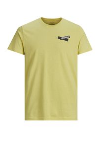 Jack & Jones JACK & JONES, Herren T-Shirt, Curry