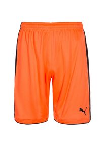Puma, Herren 'Tournat' Torwartshort, Orange / Schwarz