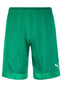 Puma, Herren CUP Short, Grün