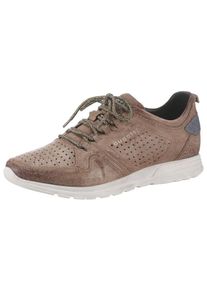 Bugatti, Herren Sneaker 'Baker', Hellbraun / Dunkelgrau