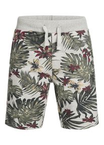 INDICODE JEANS, Herren Shorts 'Alejandro', Grau / Grün