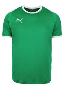 Puma, Herren Funktionsshirt, Gr&uuml;n / Wei&szlig;